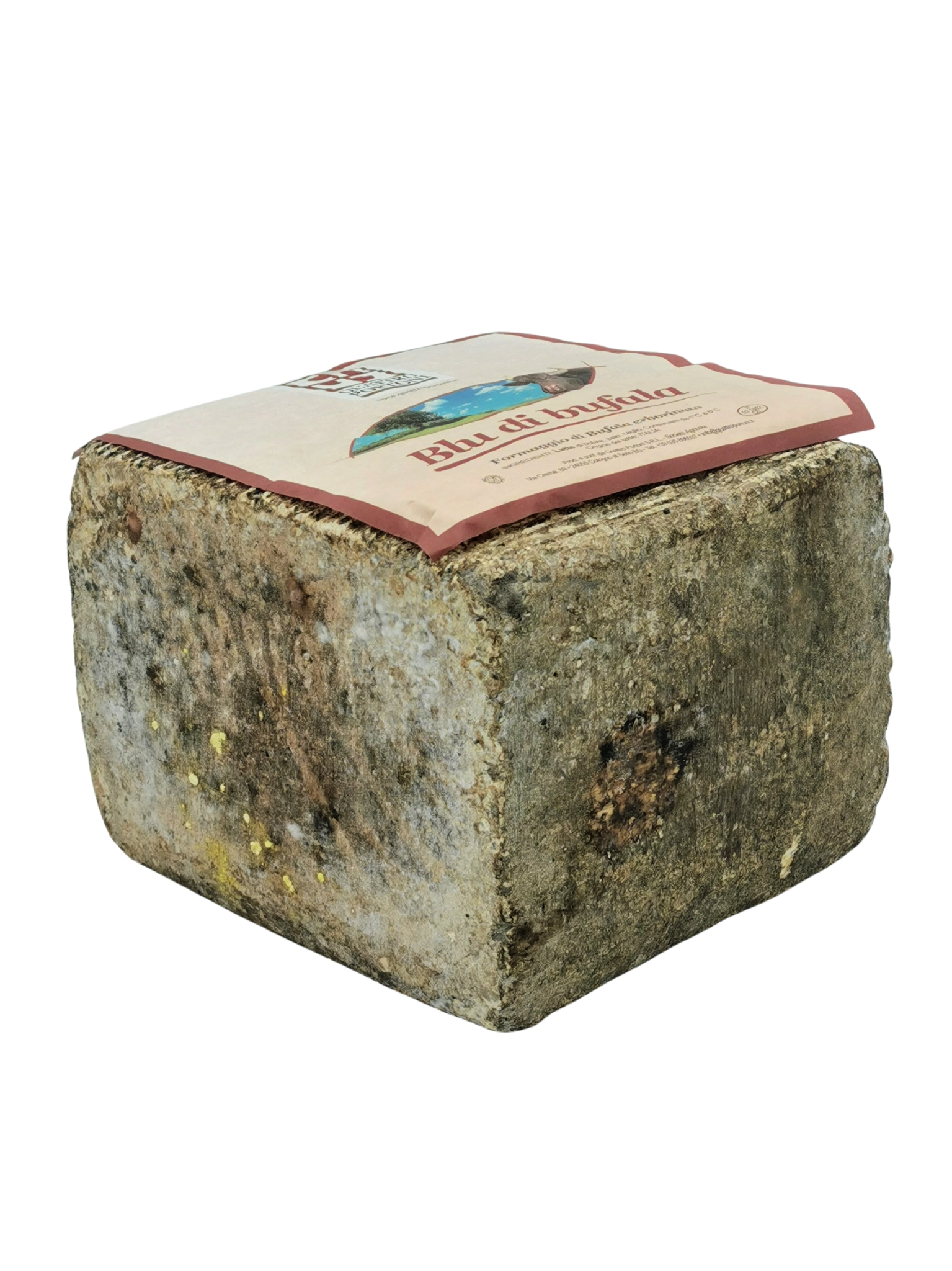 Bleu de bufflonne